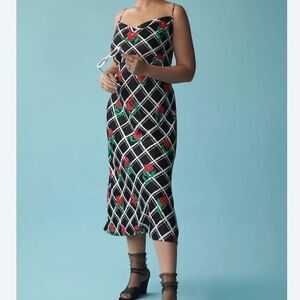 Anthropologie The Elsye Rose Print Slip Dress NEW WITH TAGS SIZE SP